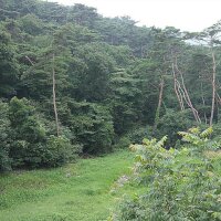 만수산자연휴양림