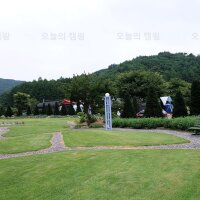 홍천 무네미 별마루 관광농원