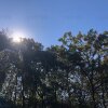 파주 느티나무그늘아래캠핑장 친정캠핑 (가마보코3M첫피칭)