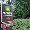 계곡캠핑이 답이다! 충남 보령 성주산자연휴양림 야영장