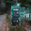 홍천 예담숲 캠핑장 / 장점, 단점 / 키즈 시설