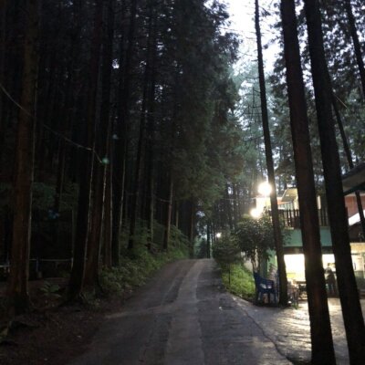 편백힐치유의숲 야영장, 하고싶은것 다하는 드니의 숲속낭만캠핑