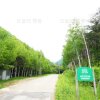 휴양림추천 : 홍천 국립 삼봉자연휴양림!