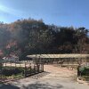 홍천 아이와가볼만한곳 숲속동키마을 : 홍천여행