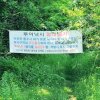 캠핑먹방 그리고 충주호 낚시 (Feat. 계명산 나무숲길 캠핑장... 
