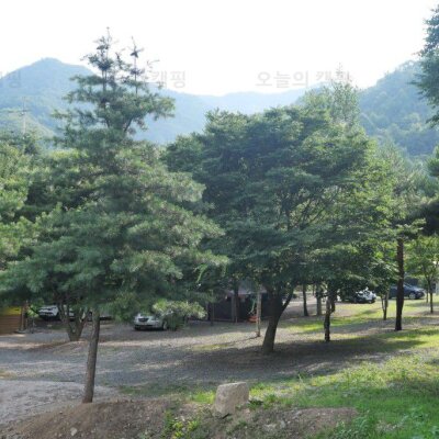 캠핑을 가다 : 계곡과 소나무 오토캠핑장[경기 포천]_마장호수... 