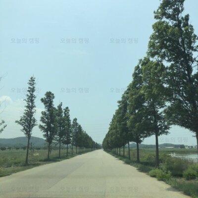 [영흥도] 무지개 펜션 캠핑 & 미라클 패밀리텐트 개시