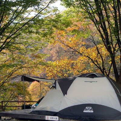 22nd.집다리골자연휴양림 단풍캠핑[단풍명소,가을 단풍여행... 
