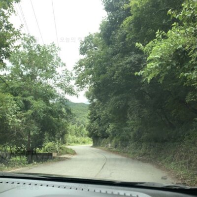 춘천숲자연휴양림 오토캠핑 글램핑 캠핑장 강추!
