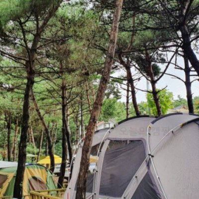 영흥도캠핑 : 명성가족캠핑촌 / 인천 수도권 숲속 캠핑장... 