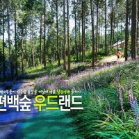 장흥숲길캠핑장