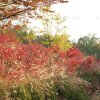 중랑캠핑숲 산책, 가을 풍경 만끽한 주말