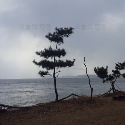 충남 서천 오토캠핑장 / 캠핑야영장 - 해오름관광농원