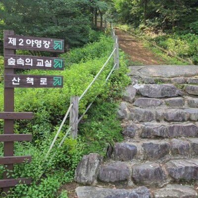 야영장추천 칠곡캠핑 송정자연휴양림