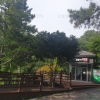 제암산자연휴양림 야영장