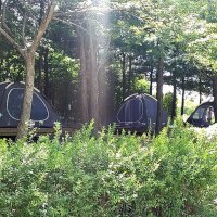 서울숲 캠핑장