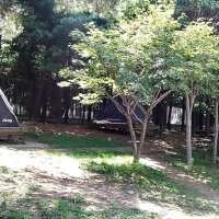 서울숲 캠핑장