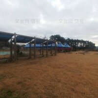 홍영선 볶은 곡식 건강 캠프장