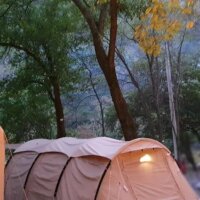 사랑나무 캠핑장