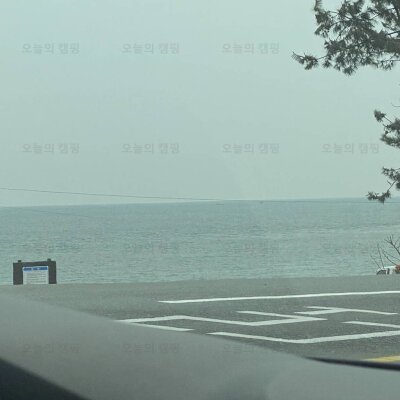 캠핑) 대구근교캠핑장 바다... 양남 하서해안공원 솔밭오토캠핑장