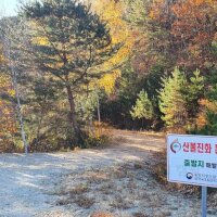 국립검봉산자연휴양림