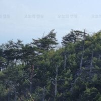 국립검봉산자연휴양림