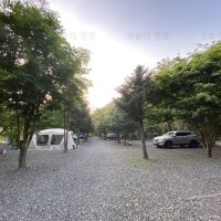 모야의숲 캠핑장