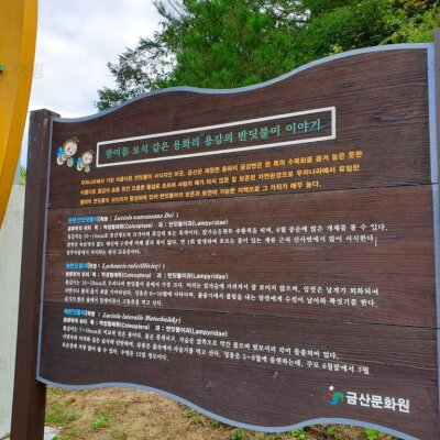[금산여행] 금산 인삼골오토캠핑장 : 내돈내산, A사이트(A-4)... 
