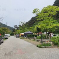 용두산오토캠핑장
