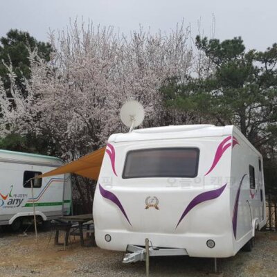 2018년 벚꽃가로수길 여행-북한강뷰캐라반파크