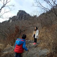 팔영산 자연휴양림 야영장