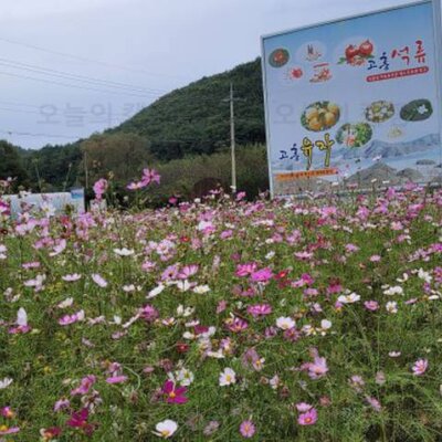 고흥 팔영산 대표적인 원점회귀 코스-다도해의 풍경을... 