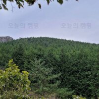 팔영산 자연휴양림 야영장