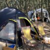 [두번째캠핑] 캠린이의 두번째 캠핑 (at 백사장사계절숲속캠핑장)