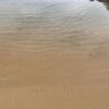 [속초 해수욕장] 아바이마을 청호해변 #2 두번째 방문!!!