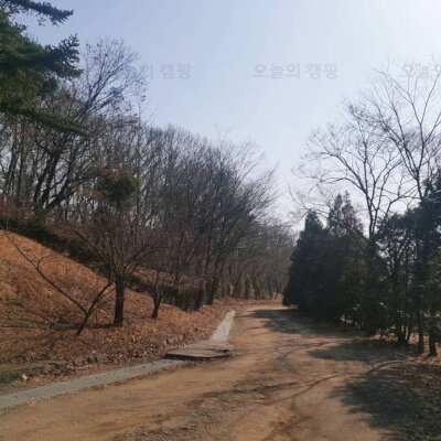 스노우라인 포티스2,리빙쉘텐트,서삼릉청소년야영장,캠핑