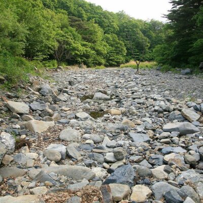 충남 보령-성주산자연휴양림(2012.6.2-3)