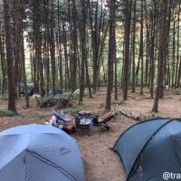 서리산 잣나무 휴양림 캠핑장