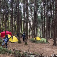 서리산 잣나무 휴양림 캠핑장