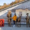 경북 예천 가볼만한곳 TOP8 : 언택트 가족여행 명소