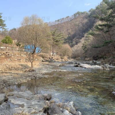 [레슬리캠핑] 캠린이 마음에 쏙 든 첫 캠핑장 원주 '포안캠핑장... 