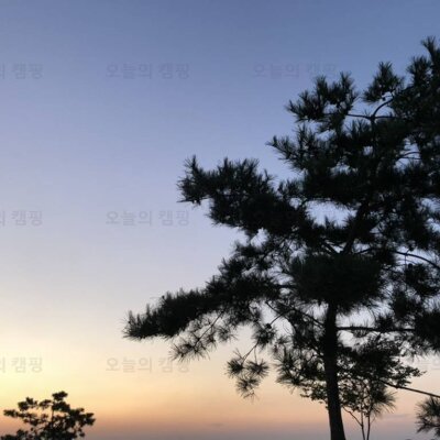 캠핑장 추천 (강화도 바다애,가평 자우림 ,태안 청산리오토 캠핑장)