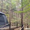 [인제] 하늘그린캠프, 숲속의 캠핑장 (아홉 번째 캠핑)