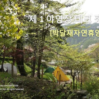 [캠핑] 박달재자연휴양림 - 1야영장 데크 정보