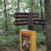 국립자연휴양림관리소(동부지역팀 청태산자연휴양림)