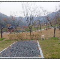 대동제 상류 생태공원 오토캠핑장(야영장)