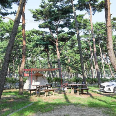 국립공원 몽산포자동차야영장 캠핑(2022. 08. 26 ~ 2022. 08. 27)