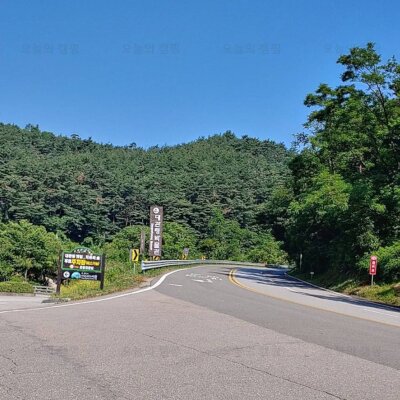 강원도 대관령옛길 계곡 추억촌 렌탈캠핑 오토 자가 캠핑