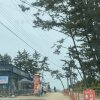 [몽산포오토캠핑장2구역] 솔직한후기 / 캠린이의 첫 캠핑... 