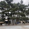 부부 캠핑 16: 태안 몽산포 오토캠핑장 1구역, 여유롭고... 